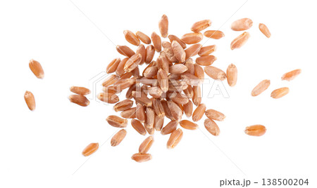 Organic peeled spelt grains isolated on white background. Triticum spelta or dark wheat. Clipping path. Top view. Organic peeled spelt grains isolated on white background. Triticum spelta or dark wheat. Clipping path. Top view. 138500204