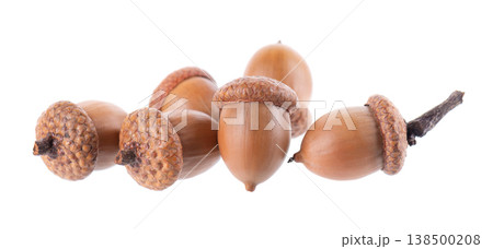 Acorn oak isolated on white background. Ripe brown acorns. Clipping path. Acorn oak isolated on white background. Ripe brown acorns. Clipping path. 138500208