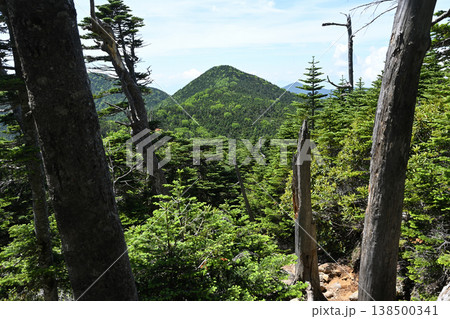 甲武信ヶ岳登山、長野、山梨、埼玉 138500341