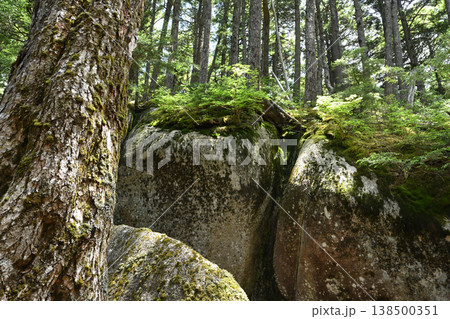 甲武信ヶ岳登山、長野、山梨、埼玉 甲武信ヶ岳登山、長野、山梨、埼玉 138500351
