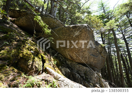 甲武信ヶ岳登山、長野、山梨、埼玉 甲武信ヶ岳登山、長野、山梨、埼玉 138500355