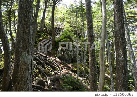 甲武信ヶ岳登山、長野、山梨、埼玉 甲武信ヶ岳登山、長野、山梨、埼玉 138500365