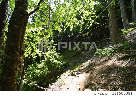 甲武信ヶ岳登山、長野、山梨、埼玉 甲武信ヶ岳登山、長野、山梨、埼玉 138500381