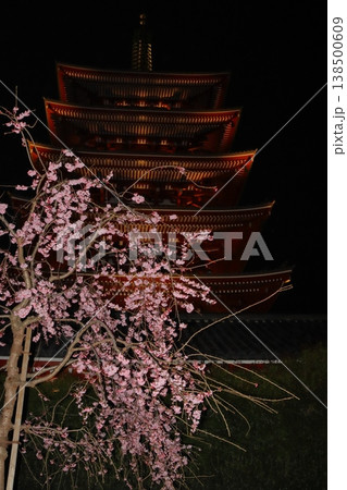 枝垂れ桜と浅草寺五重塔 枝垂れ桜と浅草寺五重塔 138500609