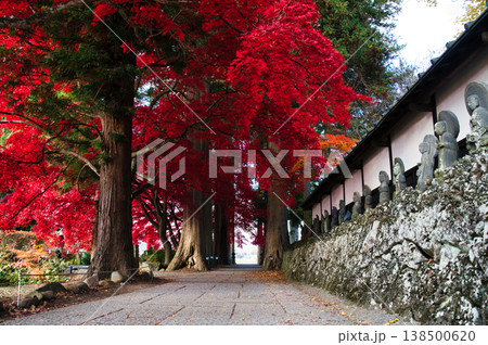 長円寺の紅葉 長円寺の紅葉 138500620