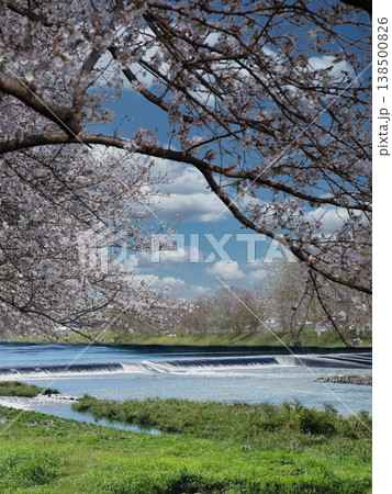 桜のある風景 桜のある風景 138500826