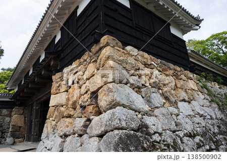 高知城 高知城 138500902
