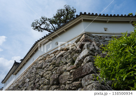 高知城 高知城 138500934