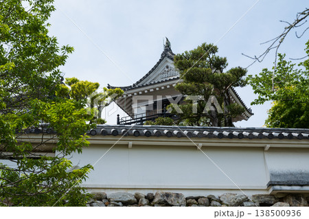 高知城 138500936