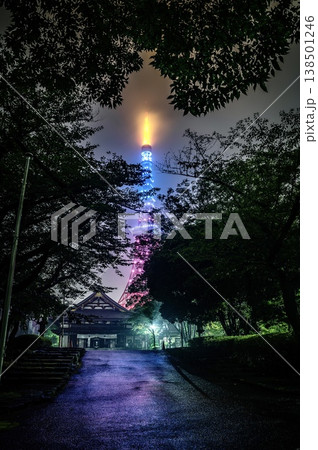 《東京》 東京タワー 夜景 《東京》 東京タワー 夜景 138501246