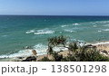 水平線と緑の海 138501298