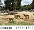 ニアラとサイの生活 138501302