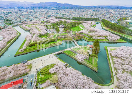 【函館・五稜郭】五稜郭公園の満開の桜 138501337