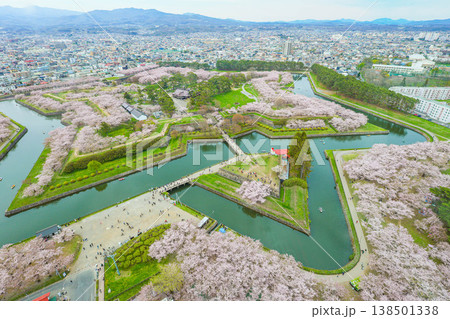 【函館・五稜郭】五稜郭公園の満開の桜 138501338
