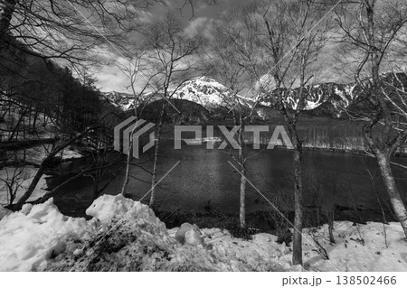 Winter in forest Japan Winter in forest Japan 138502466