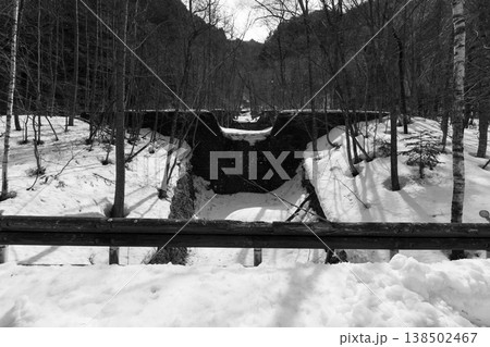 Winter in forest Japan Winter in forest Japan 138502467