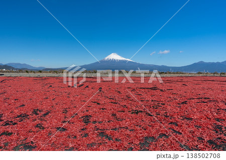 桜えび　天日干し　富士山 138502708