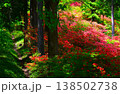 東秩父村　二本木峠　山つつじ 138502738