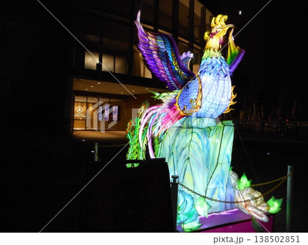 神奈川県横浜市 春節のイルミネーション夜景 神奈川県横浜市 春節のイルミネーション夜景 138502851