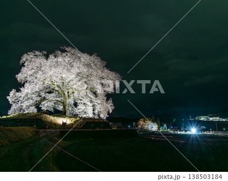 春のライトアップされた夜桜 春のライトアップされた夜桜 138503184