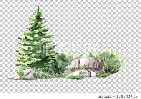 A landscape with a fluffy spruce tree, bushes, and large rocks. Isolated watercolor illustration for websites about nature, ecology, landscape design, as well as educational and children's books. 138503415