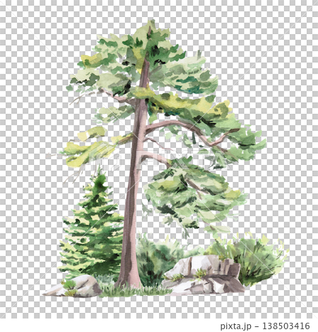 Landscape with a tall pine tree, spruce, bush, and large rocks. Isolated watercolor illustration for websites about nature, ecology, landscape design, as well as educational and children's books. Landscape with a tall pine tree, spruce, bush, and large rocks. Isolated watercolor illustration for websites about nature, ecology, landscape design, as well as educational and children's books. 138503416