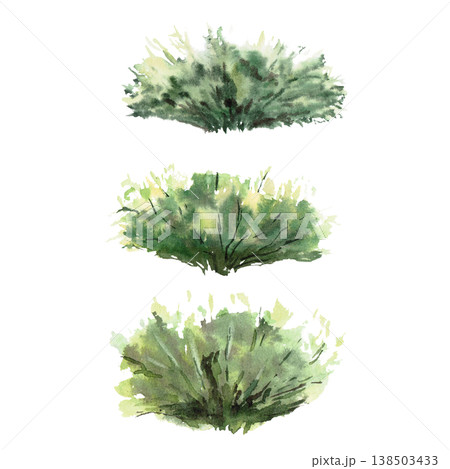 A set of three lush green bushes. Isolated watercolor illustration for websites about nature, ecology, gardening, landscape design, healthy lifestyle, as well as educational and children's books. A set of three lush green bushes. Isolated watercolor illustration for websites about nature, ecology, gardening, landscape design, healthy lifestyle, as well as educational and children's books. 138503433
