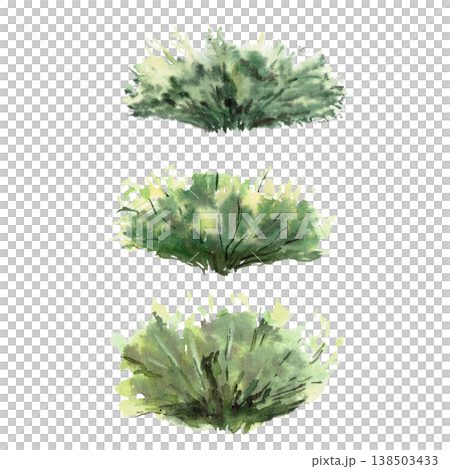 A set of three lush green bushes. Isolated watercolor illustration for websites about nature, ecology, gardening, landscape design, healthy lifestyle, as well as educational and children's books. A set of three lush green bushes. Isolated watercolor illustration for websites about nature, ecology, gardening, landscape design, healthy lifestyle, as well as educational and children's books. 138503433