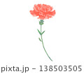 水彩風の赤いカーネーション 138503505