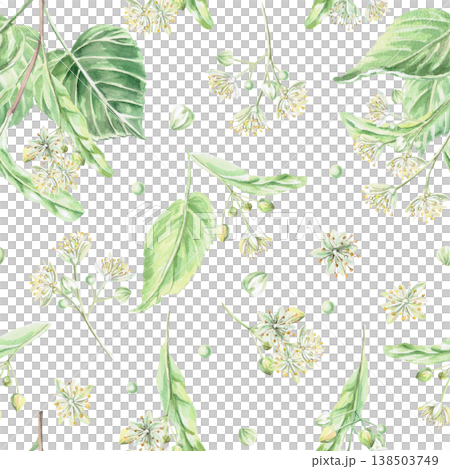 A seamless pattern with linden flowers and branches on a white background. This isolated watercolor illustration is suitable for pharmaceutical, menu, cosmetic, and eco-friendly product designs. A seamless pattern with linden flowers and branches on a white background. This isolated watercolor illustration is suitable for pharmaceutical, menu, cosmetic, and eco-friendly product designs. 138503749