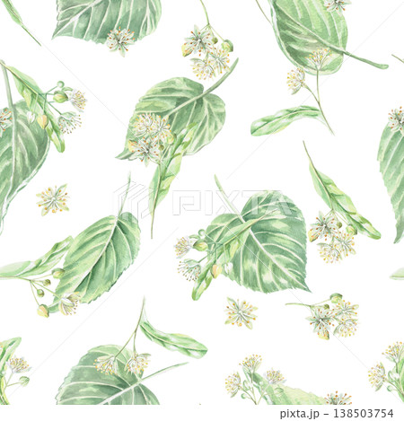A seamless pattern with linden flowers and leaves on a white background. This isolated watercolor illustration is suitable for pharmaceutical, menu, cosmetic, and eco-friendly product designs. A seamless pattern with linden flowers and leaves on a white background. This isolated watercolor illustration is suitable for pharmaceutical, menu, cosmetic, and eco-friendly product designs. 138503754