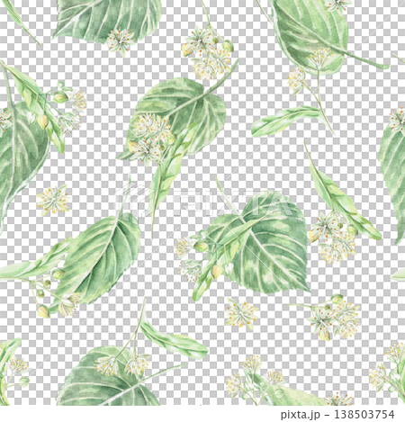 A seamless pattern with linden flowers and leaves on a white background. This isolated watercolor illustration is suitable for pharmaceutical, menu, cosmetic, and eco-friendly product designs. 138503754