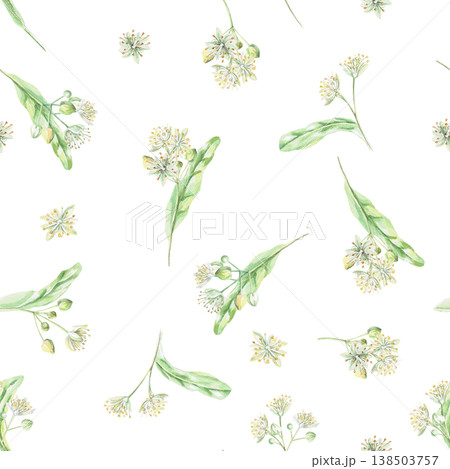 A seamless pattern with linden flowers on a white background. This isolated watercolor illustration is suitable for pharmaceutical, menu, cosmetic, and eco-friendly product designs. A seamless pattern with linden flowers on a white background. This isolated watercolor illustration is suitable for pharmaceutical, menu, cosmetic, and eco-friendly product designs. 138503757