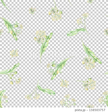 A seamless pattern with linden flowers on a white background. This isolated watercolor illustration is suitable for pharmaceutical, menu, cosmetic, and eco-friendly product designs. 138503757