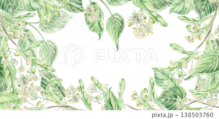 Rectangular frame with linden blossoms. Isolated watercolor illustration for pharmaceutical, cosmetic, and eco-friendly product design. Rectangular frame with linden blossoms. Isolated watercolor illustration for pharmaceutical, cosmetic, and eco-friendly product design. 138503760