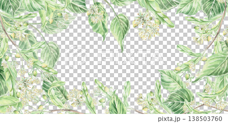Rectangular frame with linden blossoms. Isolated watercolor illustration for pharmaceutical, cosmetic, and eco-friendly product design. Rectangular frame with linden blossoms. Isolated watercolor illustration for pharmaceutical, cosmetic, and eco-friendly product design. 138503760