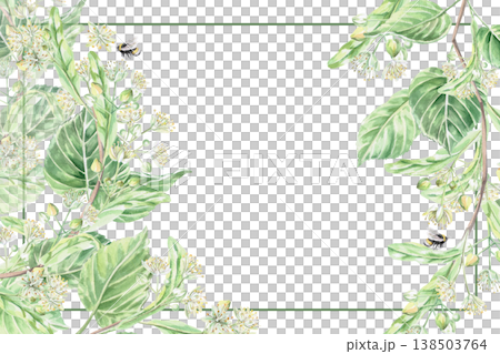A rectangular frame with a blooming linden tree. Isolated watercolor illustration for pharmaceutical, cosmetic, organic, beverage, and food product designs. A rectangular frame with a blooming linden tree. Isolated watercolor illustration for pharmaceutical, cosmetic, organic, beverage, and food product designs. 138503764