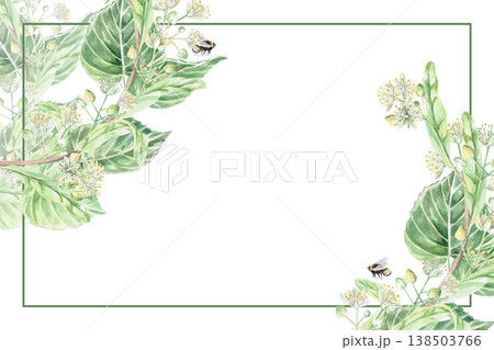 A rectangular frame with linden tree branches, leaves, and flowers, along with a bee. Isolated watercolor illustration for pharmaceutical, cosmetic, organic, beverage, and food product designs. A rectangular frame with linden tree branches, leaves, and flowers, along with a bee. Isolated watercolor illustration for pharmaceutical, cosmetic, organic, beverage, and food product designs. 138503766