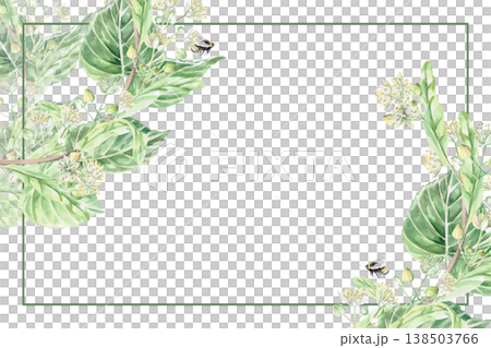 A rectangular frame with linden tree branches, leaves, and flowers, along with a bee. Isolated watercolor illustration for pharmaceutical, cosmetic, organic, beverage, and food product designs. A rectangular frame with linden tree branches, leaves, and flowers, along with a bee. Isolated watercolor illustration for pharmaceutical, cosmetic, organic, beverage, and food product designs. 138503766