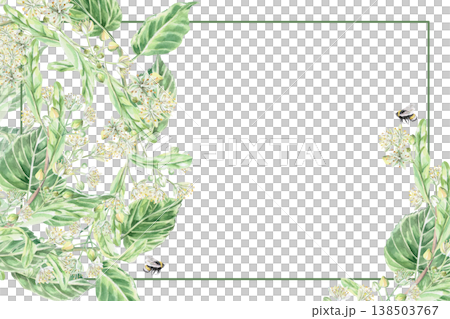 A rectangular frame with linden branches and flowers and a bee. Isolated watercolor illustration for pharmaceutical, cosmetic, organic, beverage, and food product designs. A rectangular frame with linden branches and flowers and a bee. Isolated watercolor illustration for pharmaceutical, cosmetic, organic, beverage, and food product designs. 138503767