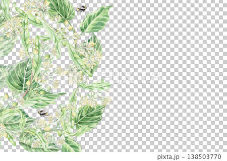 A rectangular frame with linden branches and a bee. Isolated watercolor illustration for pharmaceutical, cosmetic, organic, beverage, and food product designs. A rectangular frame with linden branches and a bee. Isolated watercolor illustration for pharmaceutical, cosmetic, organic, beverage, and food product designs. 138503770