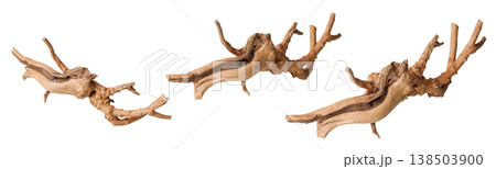 set old dry driftwood tree branch on an isolated white background set old dry driftwood tree branch on an isolated white background 138503900