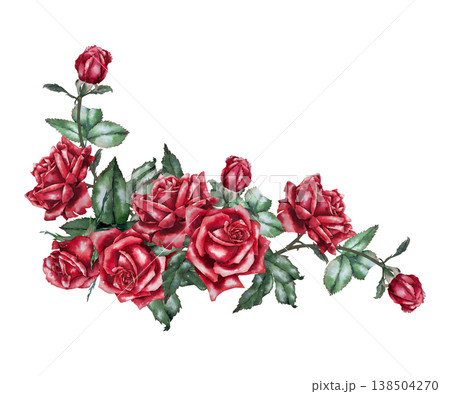 Horizontal composition of red roses and buds with green foliage, watercolor botanical illustration in realistic style. for wedding decor, greeting cards, banner, textile, packaging and festive design. Horizontal composition of red roses and buds with green foliage, watercolor botanical illustration in realistic style. for wedding decor, greeting cards, banner, textile, packaging and festive design. 138504270