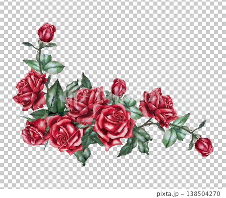 Horizontal composition of red roses and buds with green foliage, watercolor botanical illustration in realistic style. for wedding decor, greeting cards, banner, textile, packaging and festive design. Horizontal composition of red roses and buds with green foliage, watercolor botanical illustration in realistic style. for wedding decor, greeting cards, banner, textile, packaging and festive design. 138504270