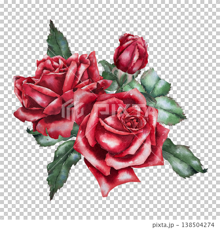Composition of two red roses and bud with green leaves, watercolor illustration in botanical realistic style. for wedding decor, greeting card, floristry, packaging, romantic and festive design. Composition of two red roses and bud with green leaves, watercolor illustration in botanical realistic style. for wedding decor, greeting card, floristry, packaging, romantic and festive design. 138504274