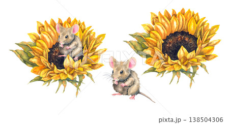 Watercolor illustration set brown mouse sitting in yellow sunflower painted in realistic and charming countryside style. Illustration for childrens products packaging textiles stickers and eco decor. 138504306