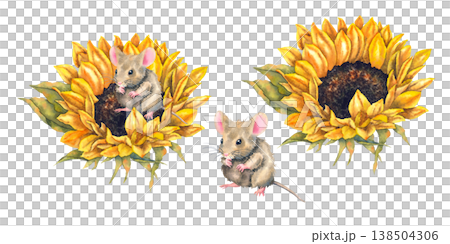 Watercolor illustration set brown mouse sitting in yellow sunflower painted in realistic and charming countryside style. Illustration for childrens products packaging textiles stickers and eco decor. 138504306