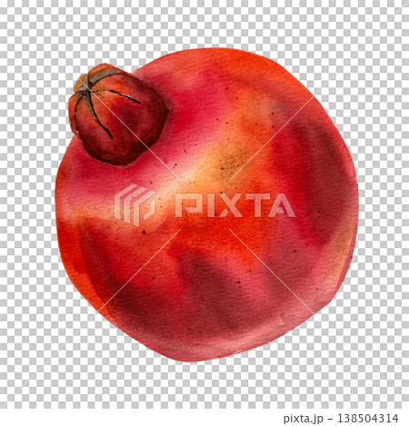 Watercolor illustration of a whole red pomegranate with crown in botanical style with soft transitions and realistic texture. for packaging, superfood branding cosmetics autumn or Halloween projects. Watercolor illustration of a whole red pomegranate with crown in botanical style with soft transitions and realistic texture. for packaging, superfood branding cosmetics autumn or Halloween projects. 138504314