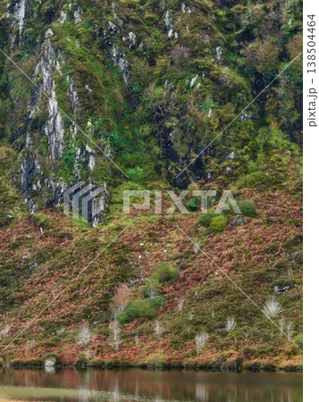 Steep, rocky mountain slopes covered in rich green moss and dark foliage rise above a hillside blanketed with reddish-brown bracken. 138504464