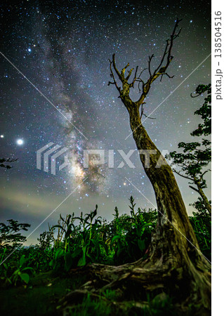 山岳の稜線と天の川が広がる幻想的な星空風景 138504516